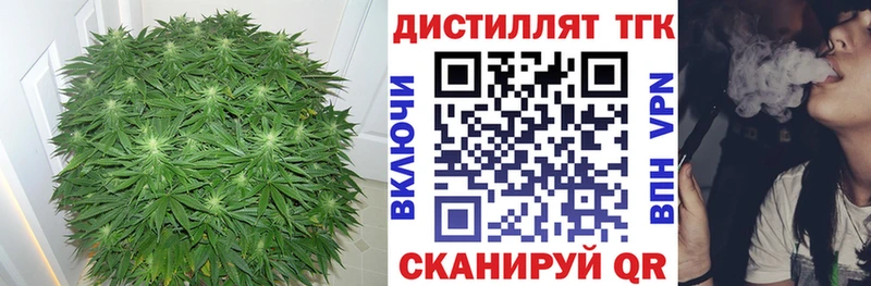 Купить где  Тутаев  ТГК концентрат 